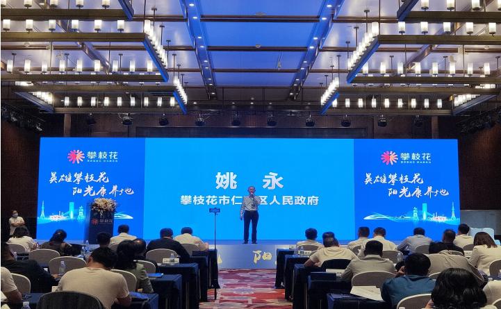 攀枝花市仁和区未来发展,攀枝花仁和发展规划