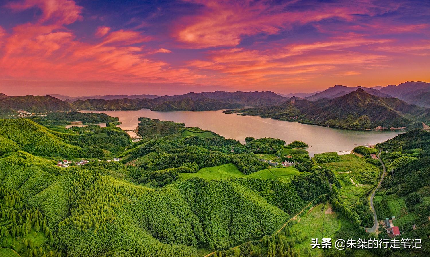 春日莫干山,莫干山春日茶会图片