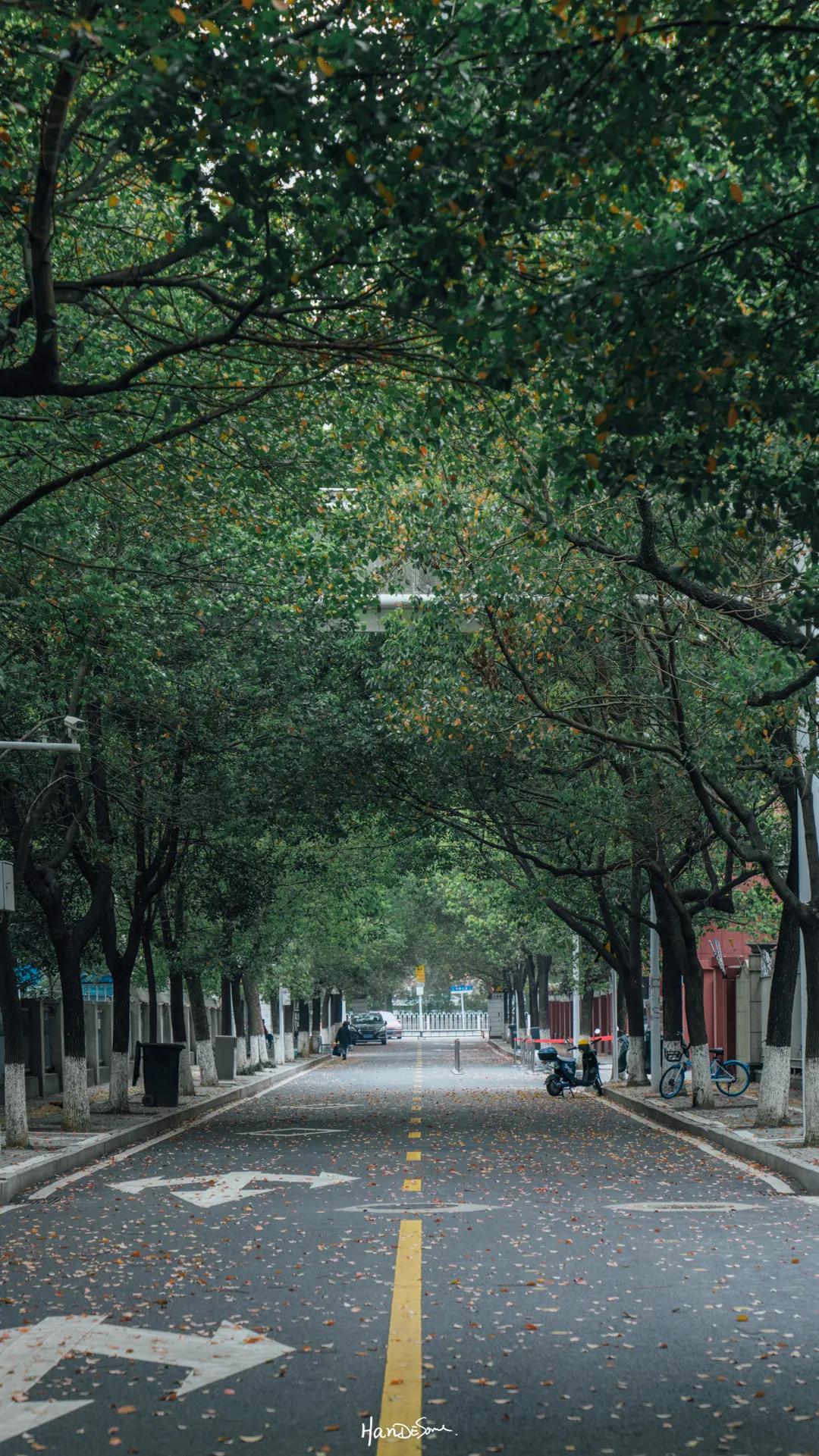 常青花园十二区房值得买吗,常青花园属于哪个社区