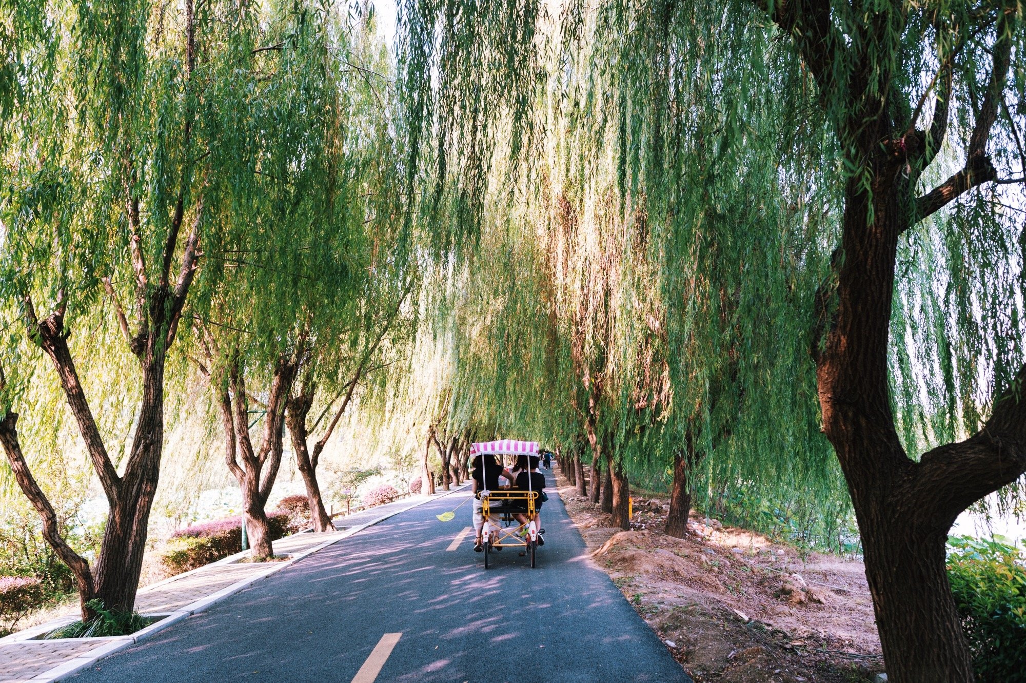 苏州太湖小众小岛,苏州被遗忘的太湖小岛