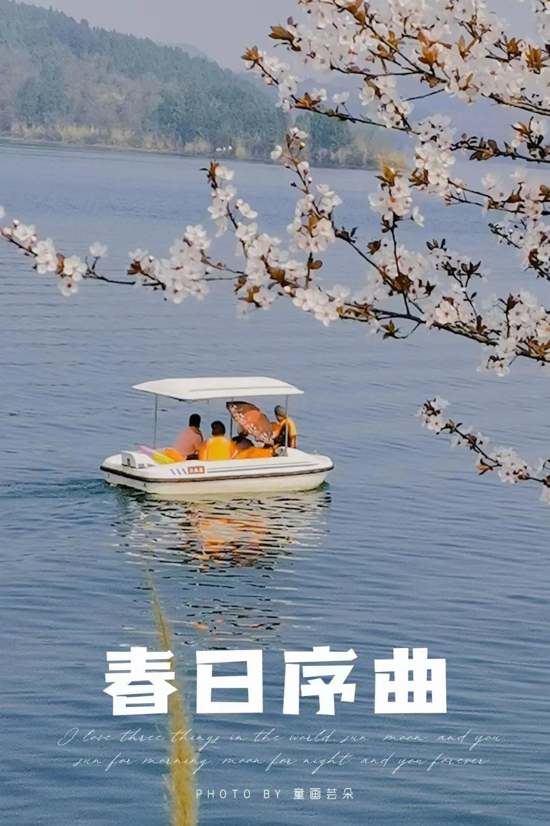 李子柒家乡成旅游景点,李子柒乡愁