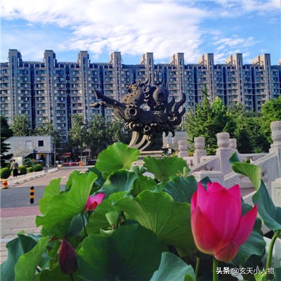 中央财经大学工商管理专业,中国财经管理专家摇篮