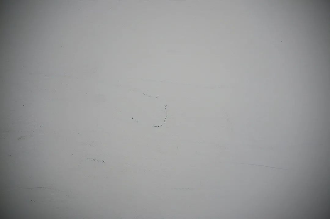 尼康z50配dx镜头,尼康zdx镜头