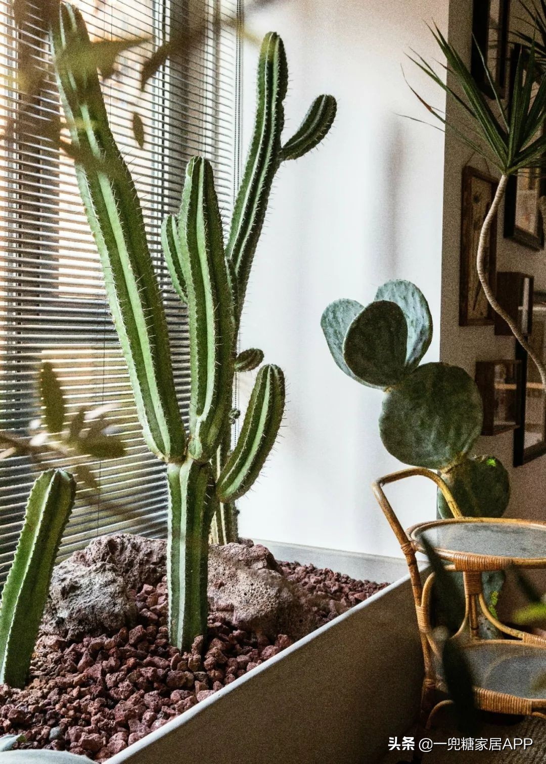 黑色直纹橱柜装修效果图,入门玄关橱柜效果图