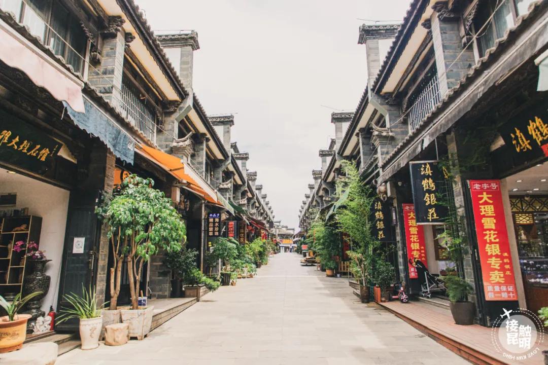 逛逛园博花鸟市场,园博花鸟市场攻略