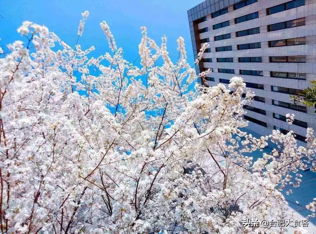 安大北门小吃街在哪里,安大旁边有什么好吃的