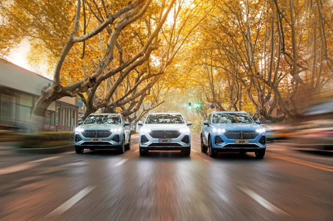 E姹借溅,鎷块搧姹借溅璇曢┚娴嬭瘎