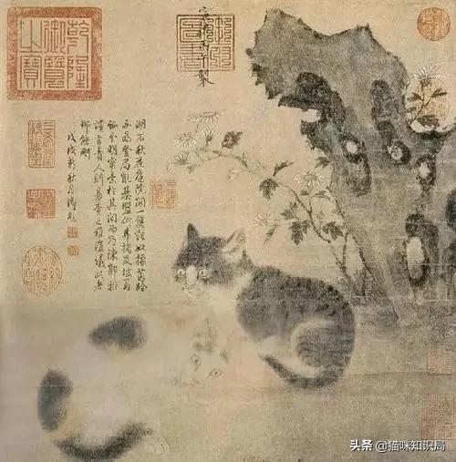 南宋哪位诗人爱养猫曾为猫写诗,南宋哪位诗人养猫还为猫写诗