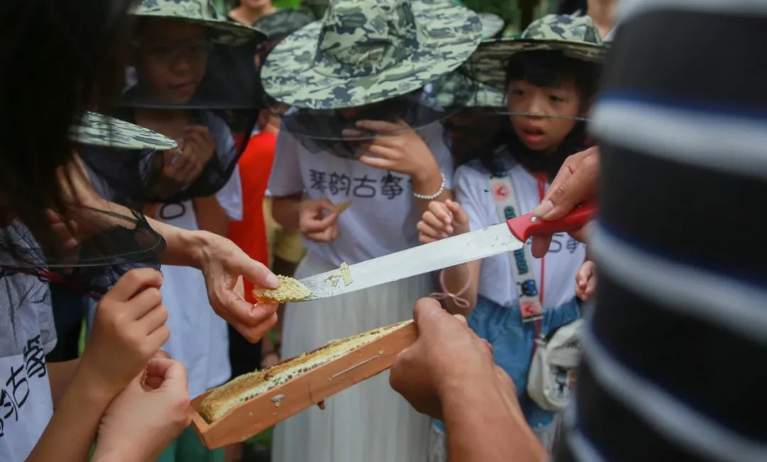 组图:武平县琴韵古筝行六一暨周年庆亲子活动圆满举行