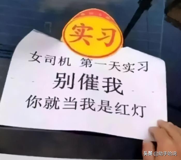 为什么老虎和狮子的争论那么大,为什么他们总说老虎打不过狮子