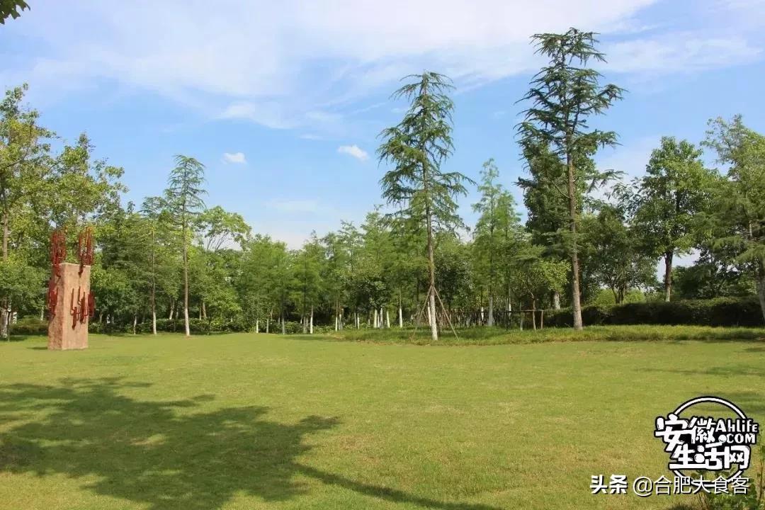 2020年，在这50个地方遇见不一样的合肥