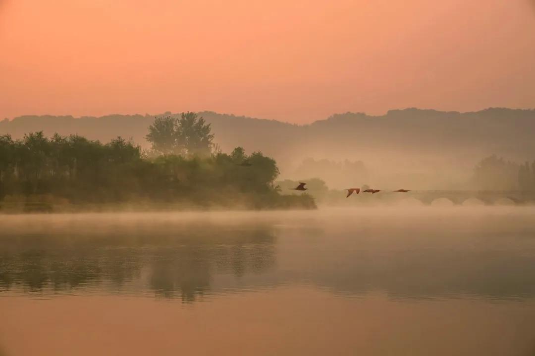 东港这么美！我要去看看