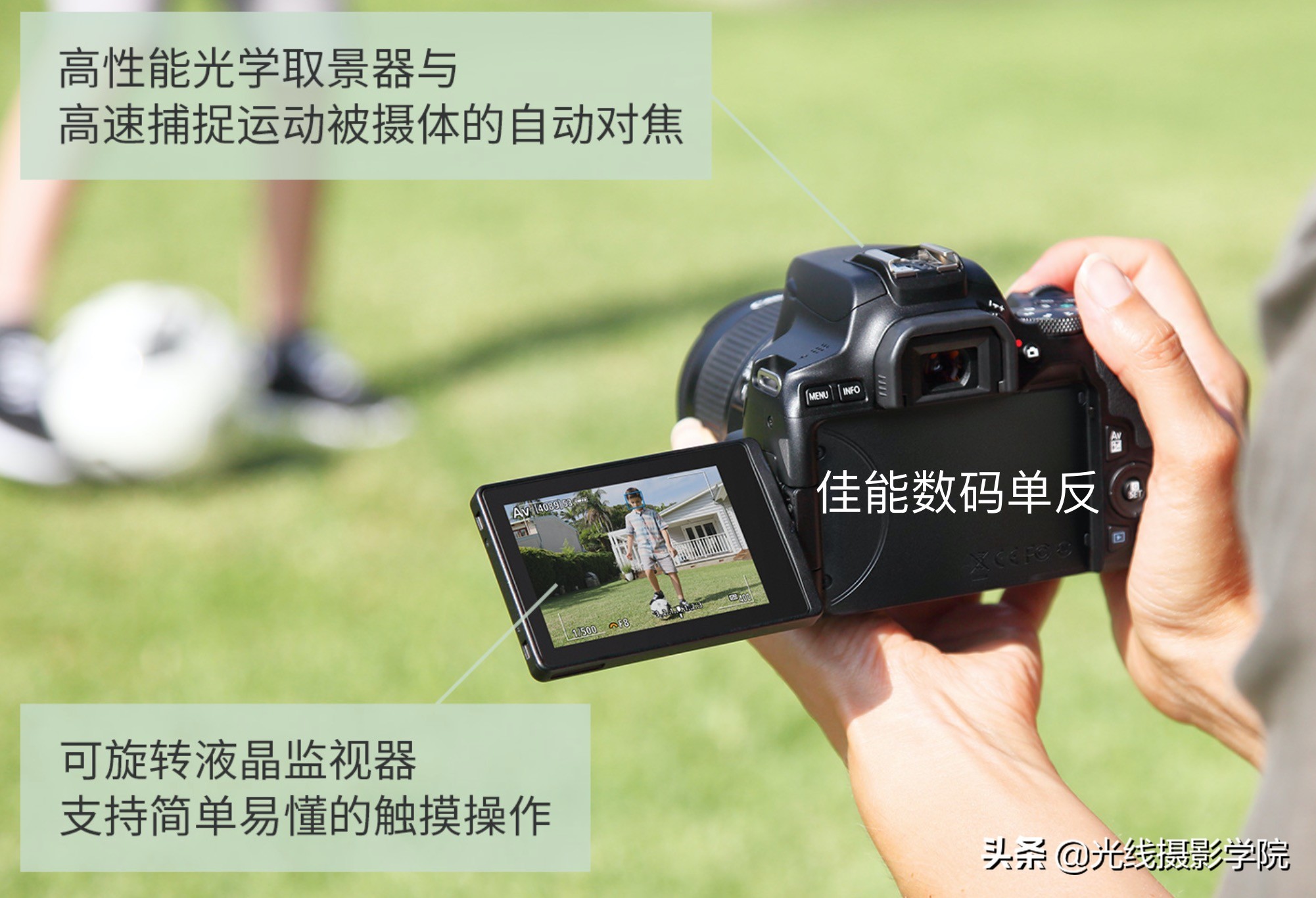 尼康相机现状和前景,尼康真的会凉吗