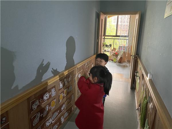 皮影戏表演西游记幼儿园,幼儿园大班西游记公开课皮影戏