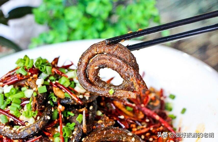 成都周边樱花之旅,离成都市最近的超美樱花海