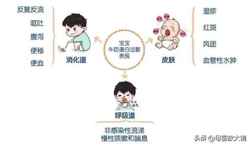 羊奶粉哪一款适合牛奶过敏宝宝,羊奶粉适合牛奶过敏宝宝喝吗