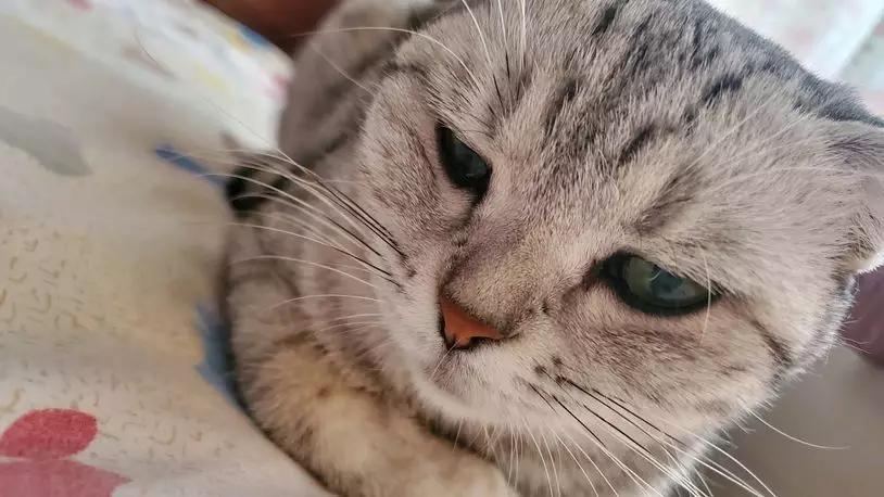 三星galaxynote20ultra5g测评,三星galaxys20+5g参数