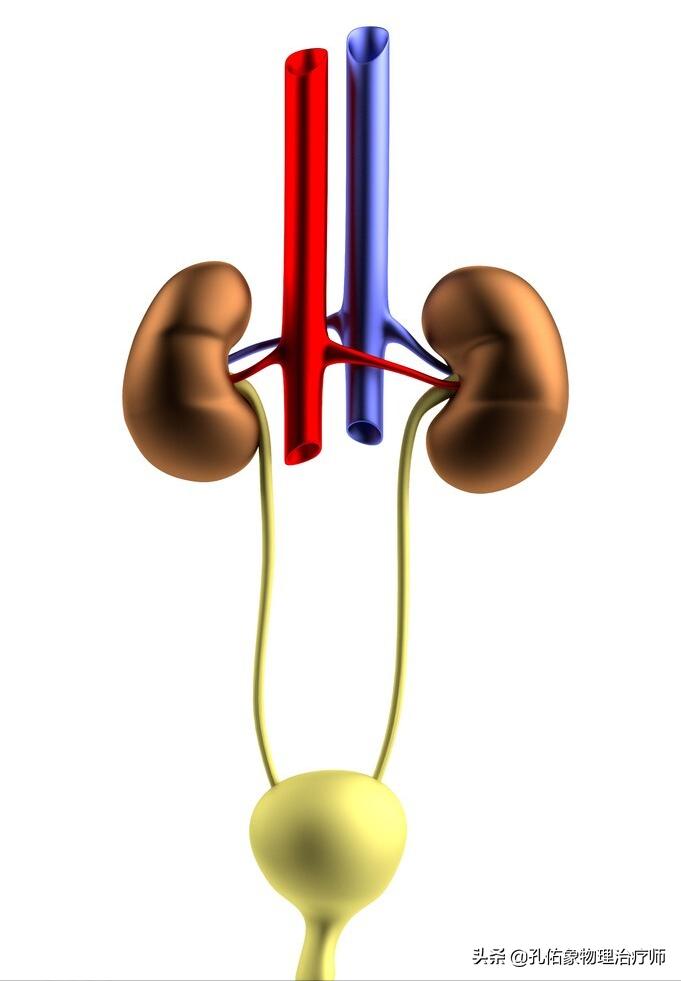 女性漏尿，究竟是怎么导致的？要如何治疗？一文给您详细解答