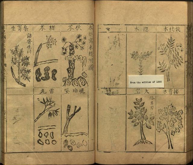 李时珍本草纲目书目录,李时珍本草纲目下卷