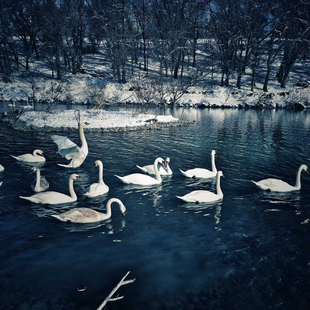 小说漂泊第四部,漂泊小说第三章