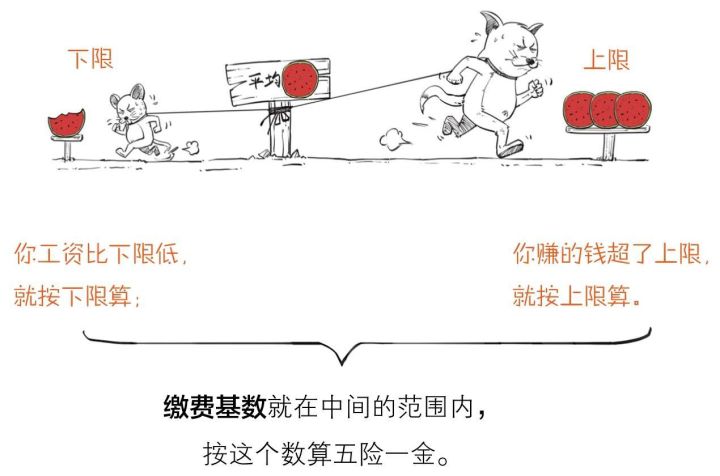 五险一金养老保险是养老金吗,个人缴的养老金包含医保么