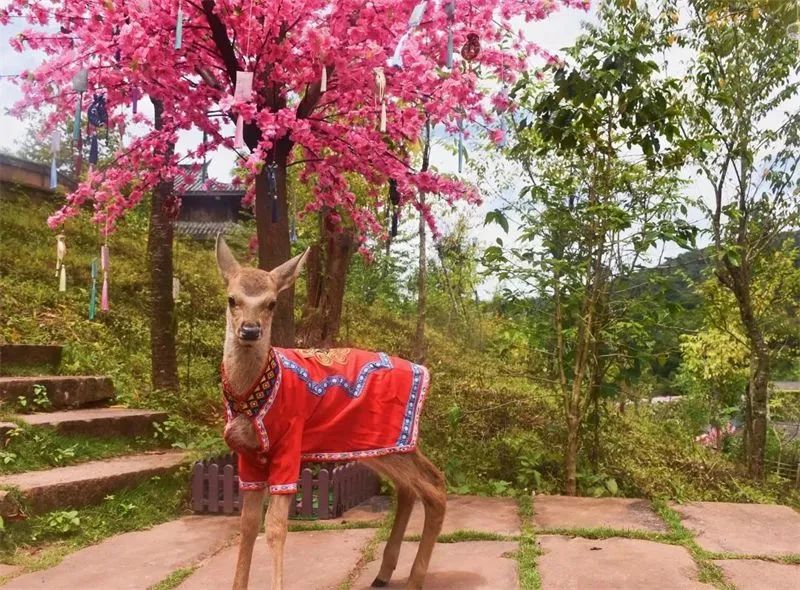 国庆中秋景区免费打折时间,中秋节10余景区40余项活动等你来