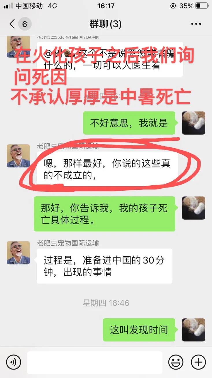 金毛siri被无良商家托运真实视频,金毛被主人丢弃了真是太可怜了