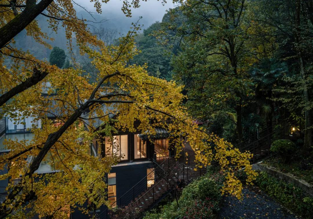 成都出发1.5h,藏在青城后山网红轻奢度假民宿,丨桐去隐泉