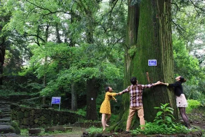 金华附近的旅游民宿推荐,金华古村古镇民宿