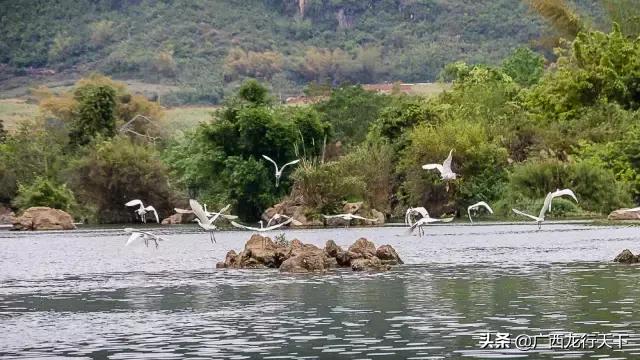 如意岛生态景区攻略,秘境之地的鬼斧神工