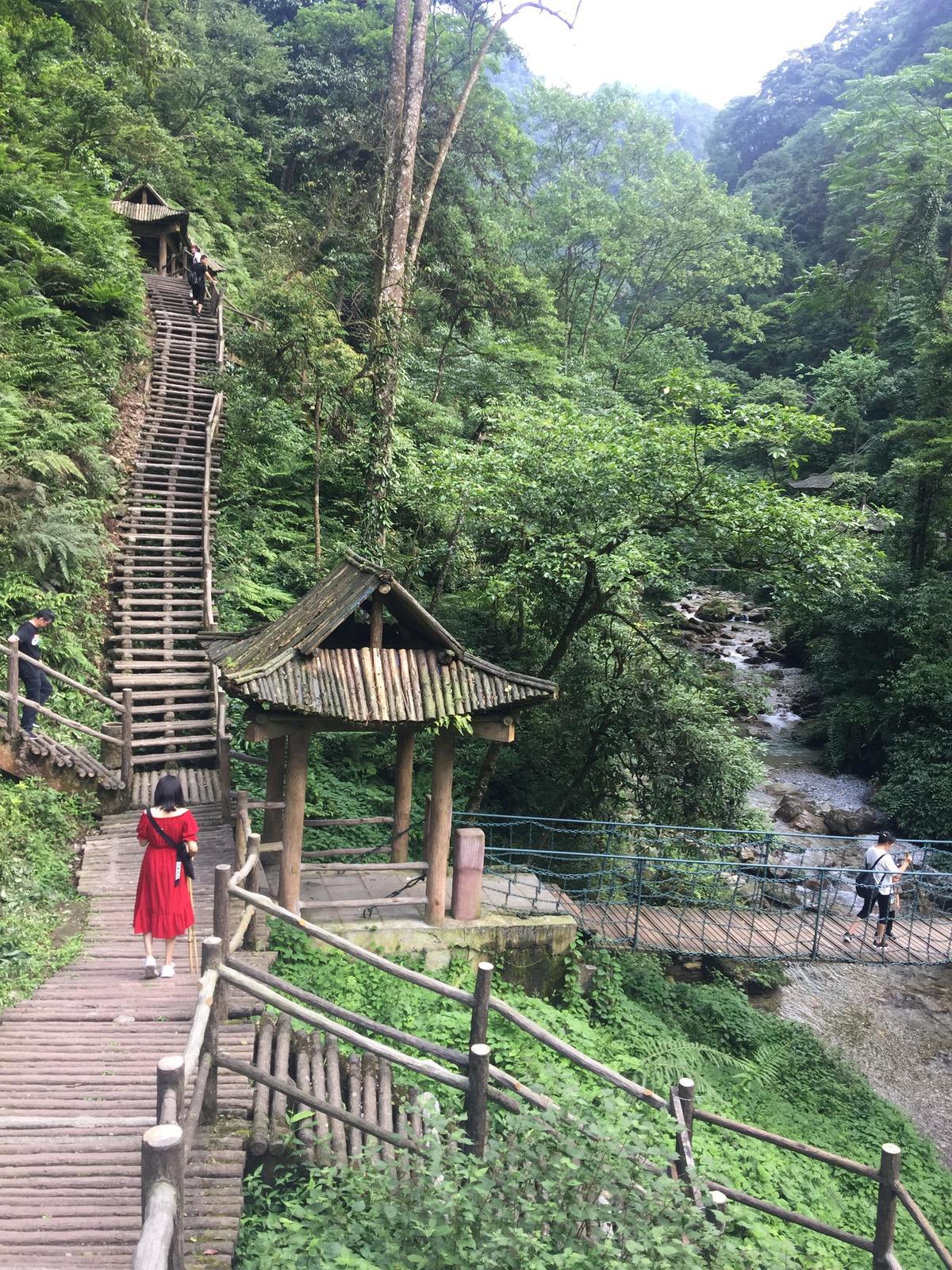 峨眉山登顶佛像,峨眉山登顶记完整版