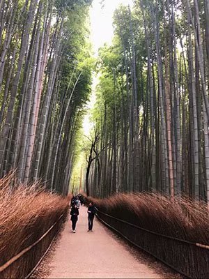 2020鏃ユ湰澶ч槳,澶ч槳浜兘濂堣壇鍏ぉ瀹夋帓