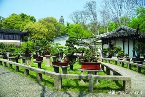 虎丘吴中第一山,虎丘和虎丘山