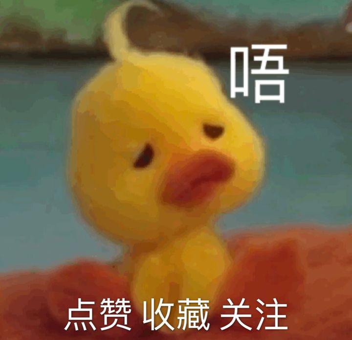 wildfieldhealth多喝水真的好吗,wildfieldhealth蛋白粉冰柠茶