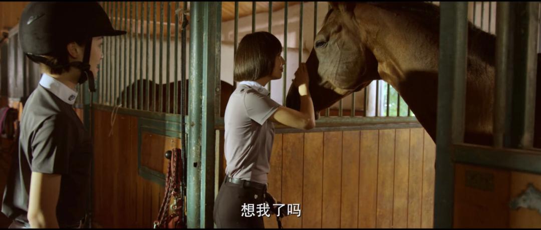 4.6分是电视剧高分吗,4.7分电影