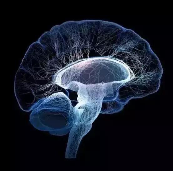 孩子补充dha有必要吗,孩子补充dha要用鱼油吗