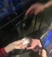 男子吃这鱼中毒，医生：无解药！曾有人误食身亡