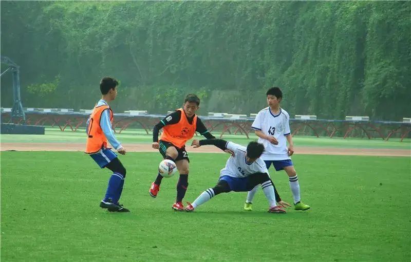 公示!达州2所小学10所幼儿园拟认定为全国特色学校,幼儿园)