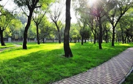 郑州有没有哪些免费的运动场馆,郑州免费开放体育场