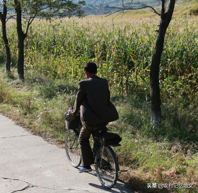 匆忙赶路散文,散文农村