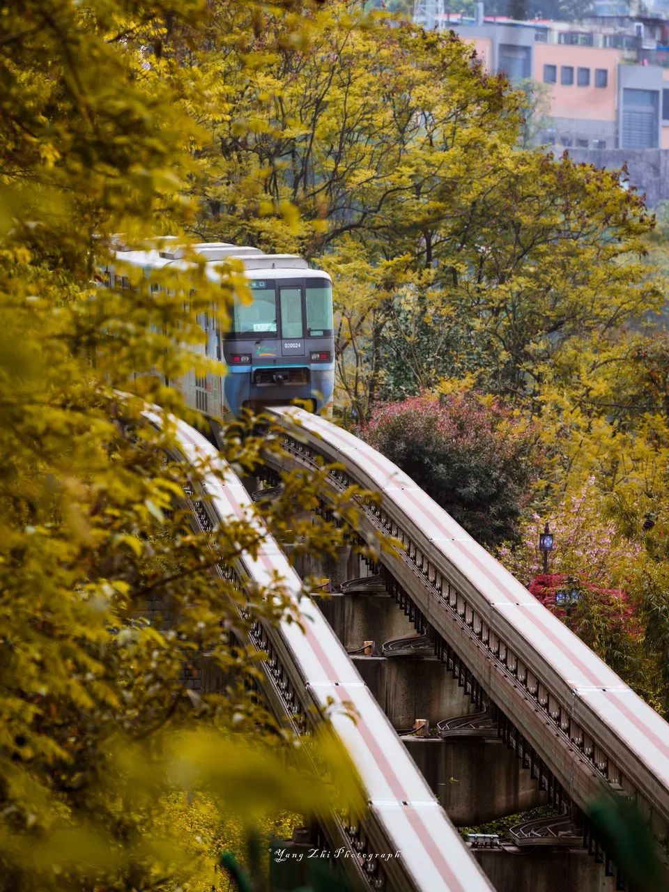 一生去过最美的50个地方,中国最美的十景你去过哪些地方