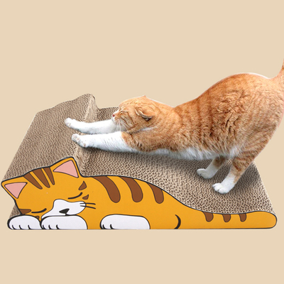 怎么教会猫咪使用猫抓板,释放小猫咪天性