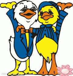 伏波跃浪四十一载，济南小鸭涅槃重生振翅再高飞