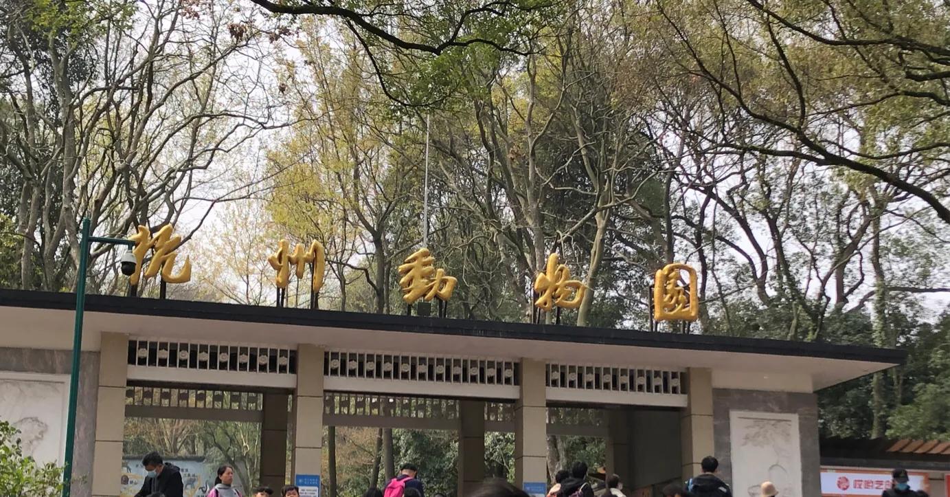 杭州动物园杭州人的记忆,杭州动物园票价