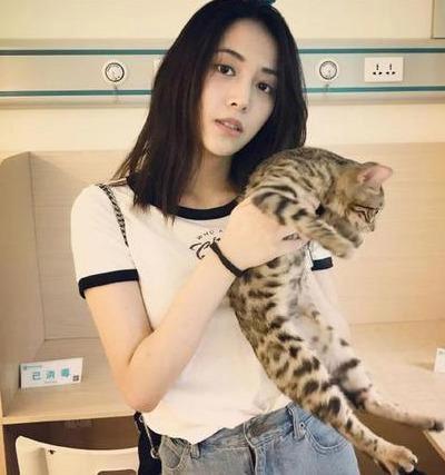 杨幂三朵金花图,杨幂旗下五朵金花古装造型