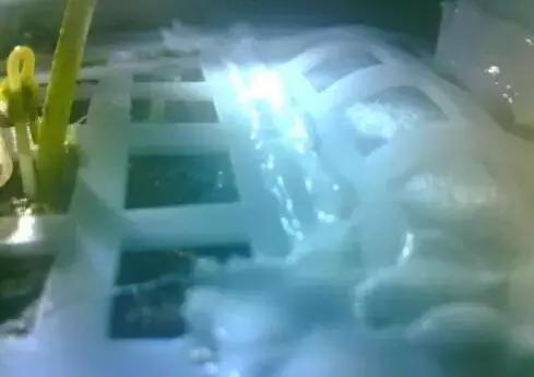 河南“水果猎人”走遍东南亚雨林,吃过600多种水果;月球上长出第一株绿芽,种子培育来自安阳丨大河早新闻