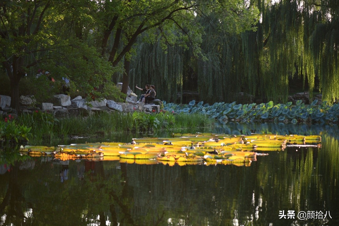 北京圆明园一日游推荐,圆明园秋色如画