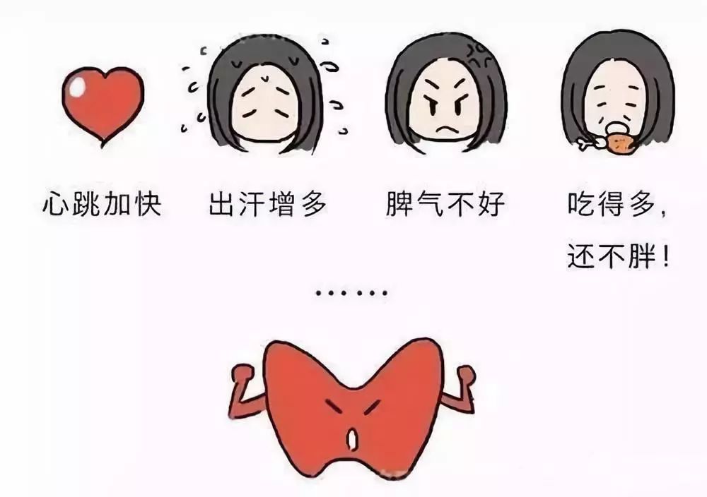 甲亢的健康教育动画视频,甲亢健康教育教学视频