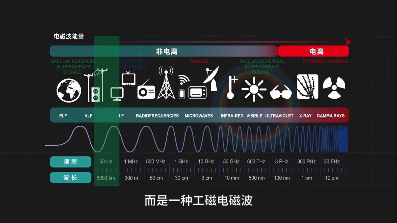 上海御桥介绍,上海御桥观景