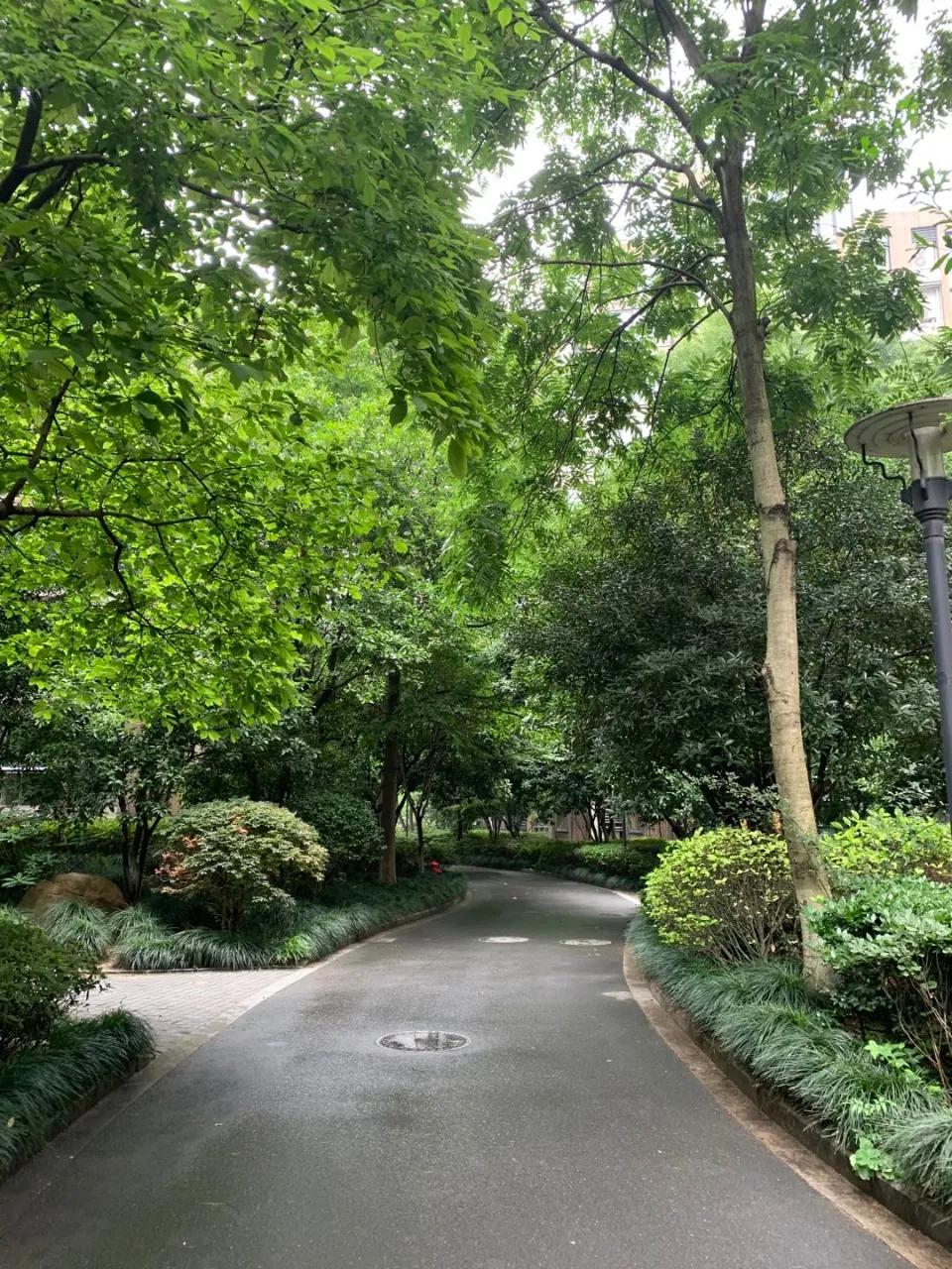 房住不炒二手房,房住不炒小产权房